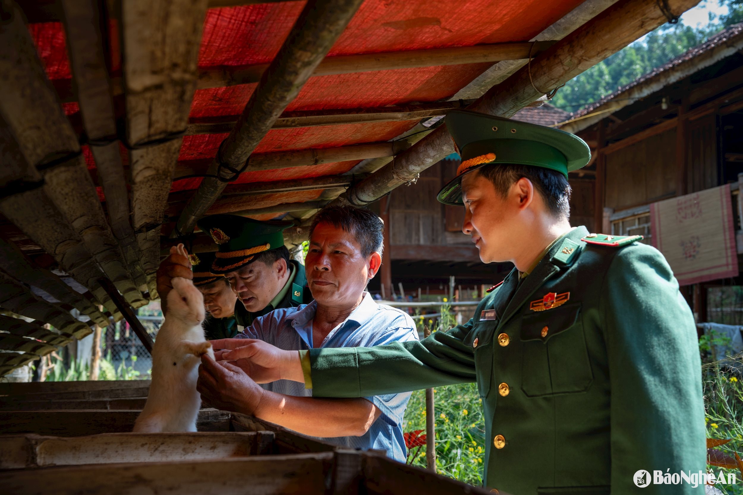 Cán bộ Đồn biên phòng Thông thụ hướng dẫn người dân xã Mường Piệt, quế Phong nuôi thỏ phát triển kinh tế hộ.Ảnh Nguyễn Đạo1