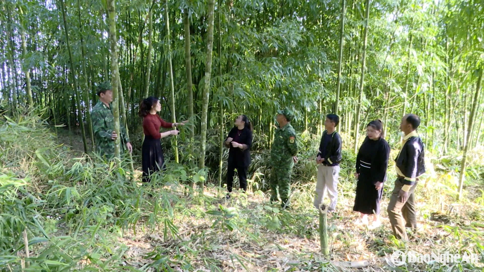 Thiếu tá Bùi Đức Long- Đồn biên phòng tri lễ hướng dẫn người dân bản Pà Khốm, xã Tri Lễ trông cây phát triển kinh tế1