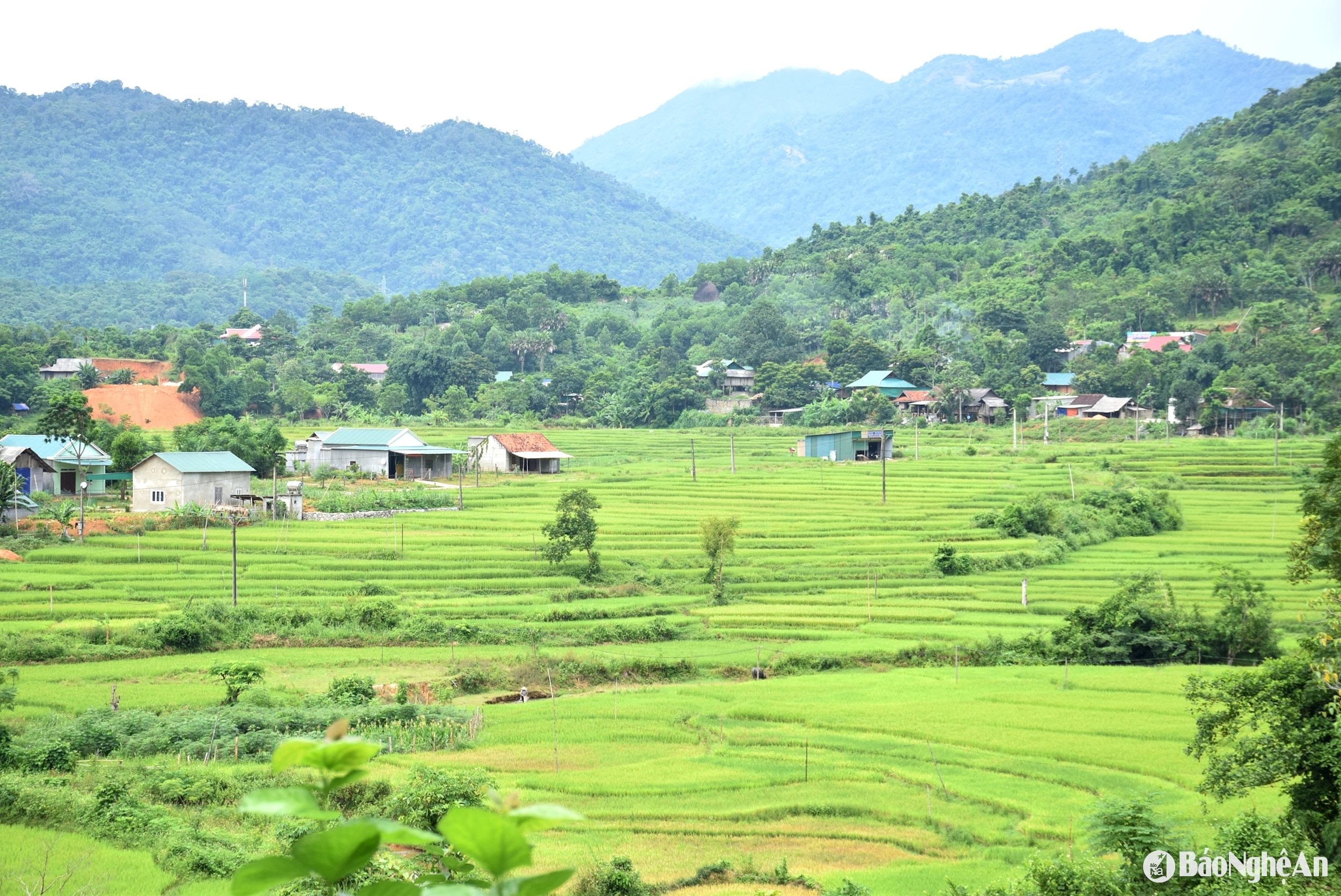 Vùng cao huyện quế Phong đang ngày càng đổi mới. Ảnh Xuân Hoàng