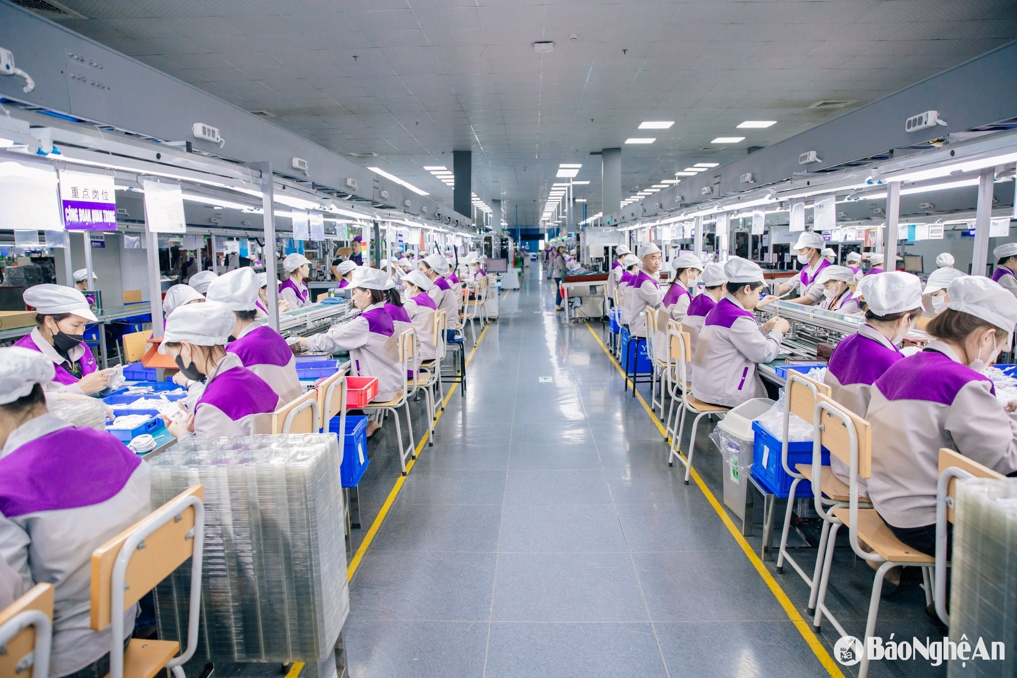 nữ công nhân trẻ Nghệ An Ảnh Quốc Việt 00000