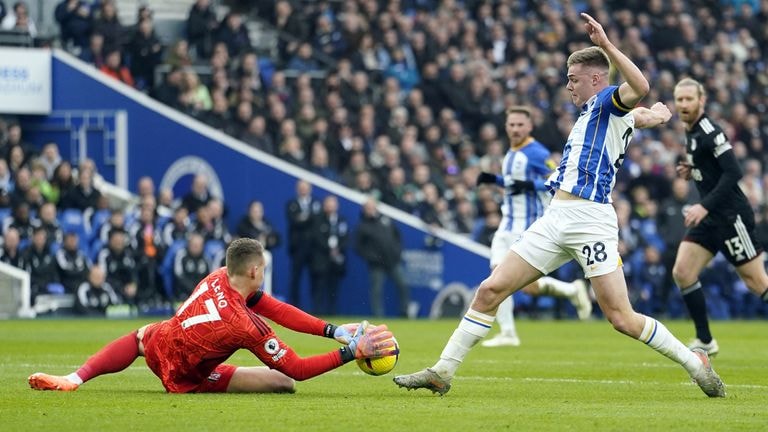 Brighton 0-1 Fulham: Manor Solomon's late strike sees frustrated Seagulls beaten | Football News | Sky Sports