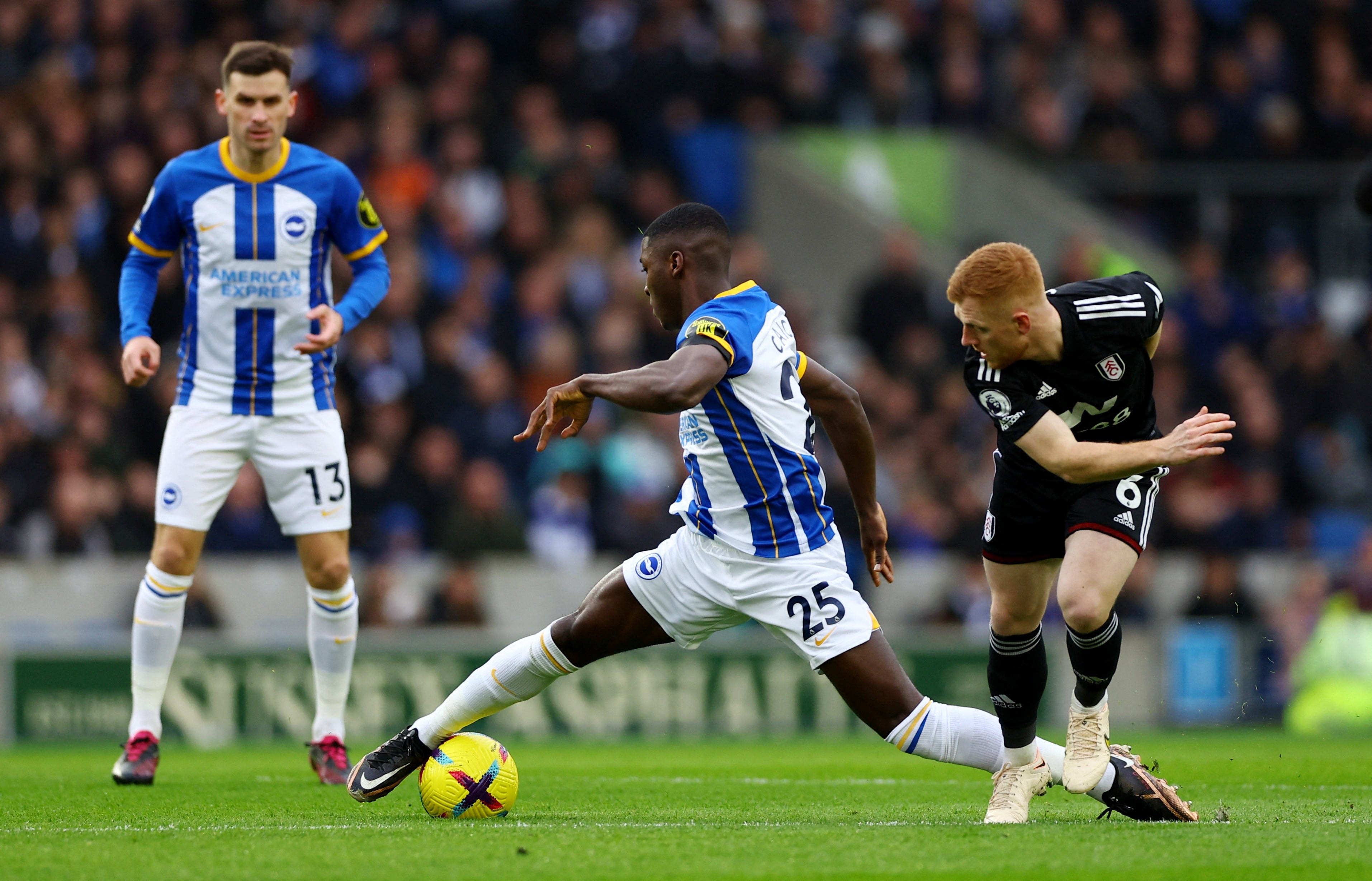 Brighton & Hove Albion vs Fulham LIVE: Premier League result, final score and reaction | The Independent