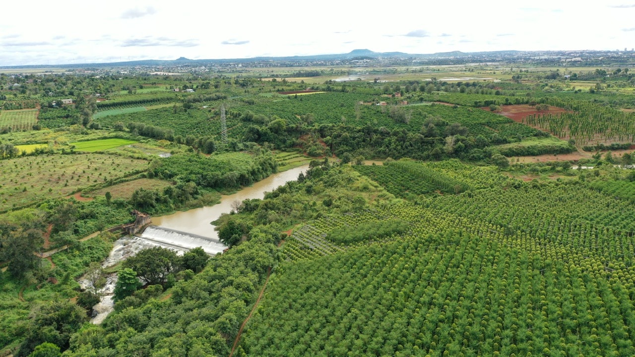 Giá tiêu hôm nay 8/3/2025: Tăng 4 ngày liên tiếp