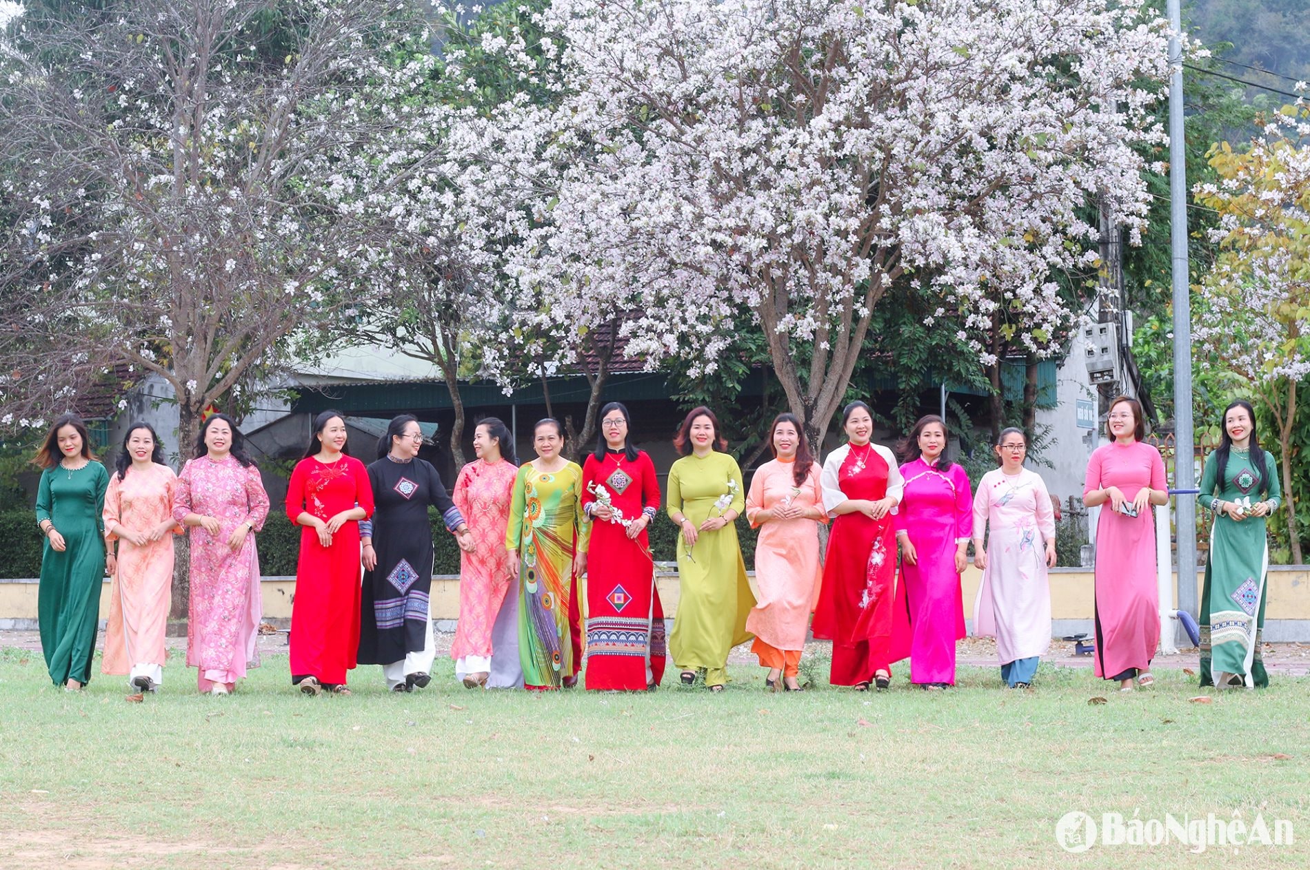 Những tà áo dài thướt tha của chị em phụ nữ càng tôn lên vẻ đẹp dịu dàng, tinh khôi của hoa ban, tạo nên những khoảnh khắc đáng nhớ.