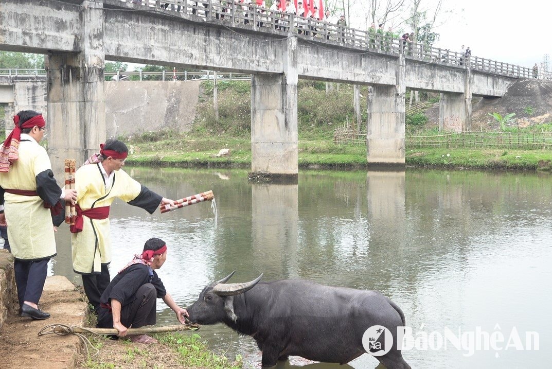 7.ảnh pv