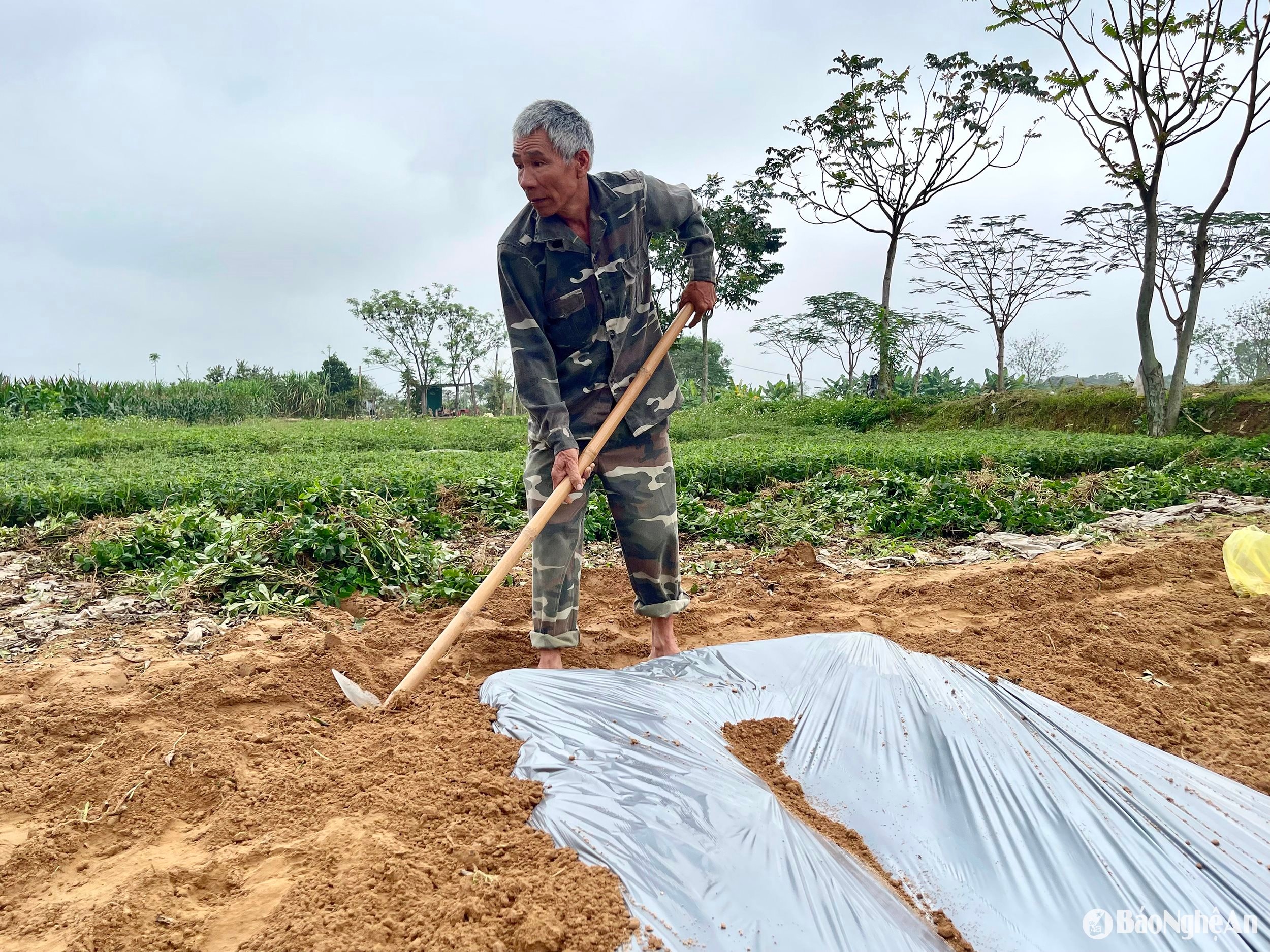  Bà con làm đất chuẩn bị trồng dưa hấu sớm. Ảnh- Phú Hương