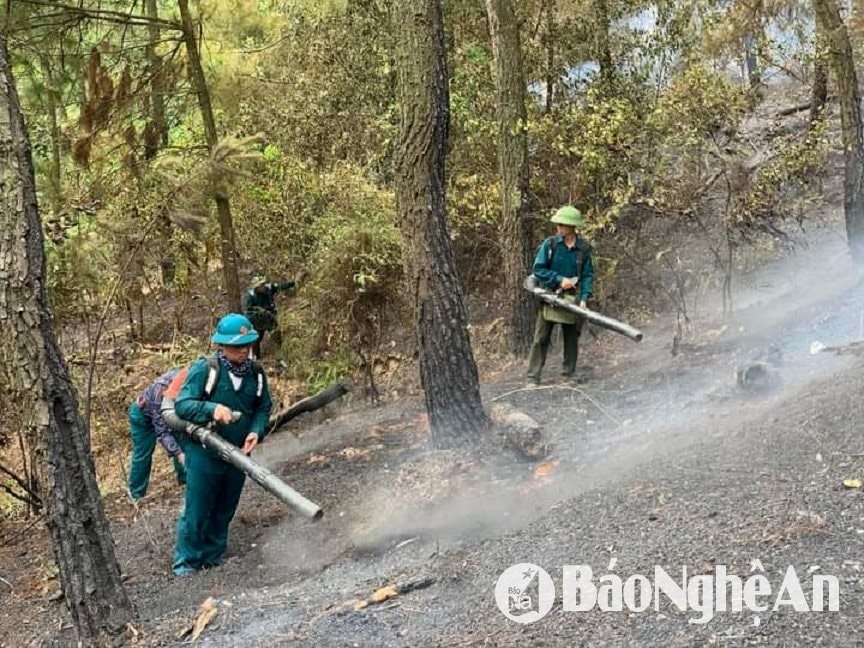 Lực lượng dân quân tự về huyện Nam Đàn tham gia chữa cháy rừng trên địa bàn xã Nam Thái tháng 4 năm 2024. Ảnh Thành Chung