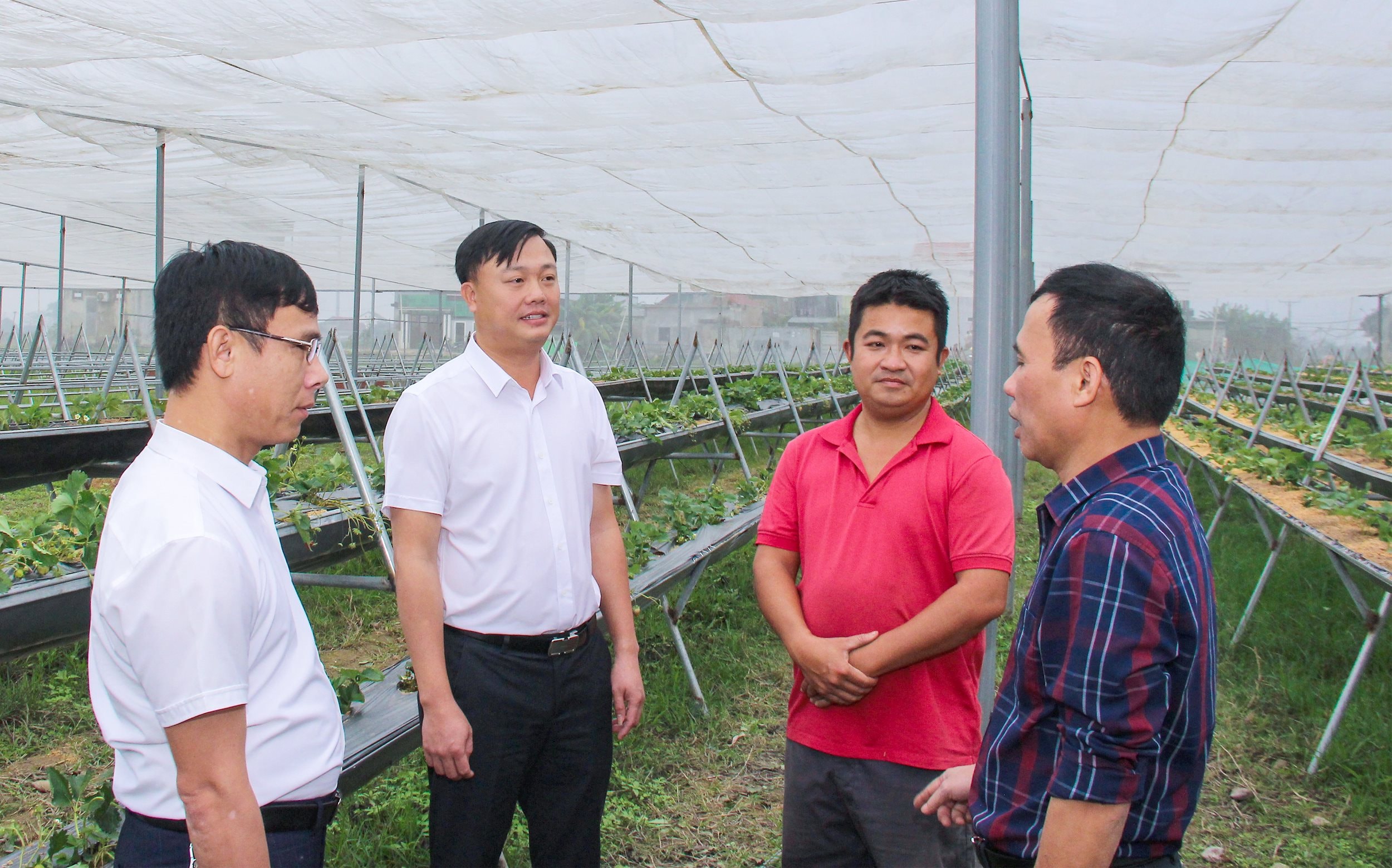Cán bộ huyện Hưng Nguyên và xã Phúc Lợi kiểm tra mô hình sản xuất