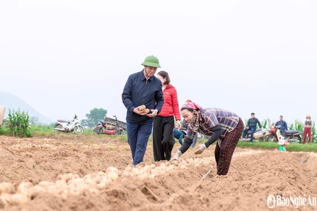bna_tham-dong-0c28147ef36ba90d9d5af6ff1e178262(1).jpg