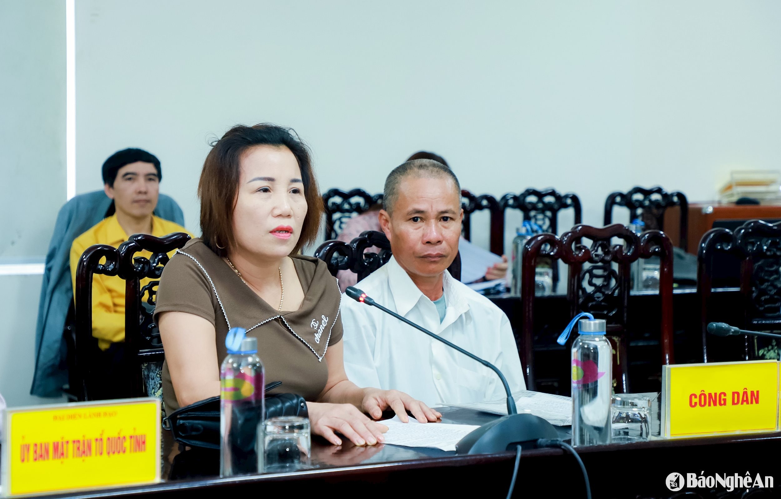 Bà Nguyễn Thị Quỳnh Nga, xóm Sơn Hà, xã Đông Hiếu, thị xã Thái Hòa phát biểu ý kiến tại phiên tiếp công dân. Ảnh: Thành Duy