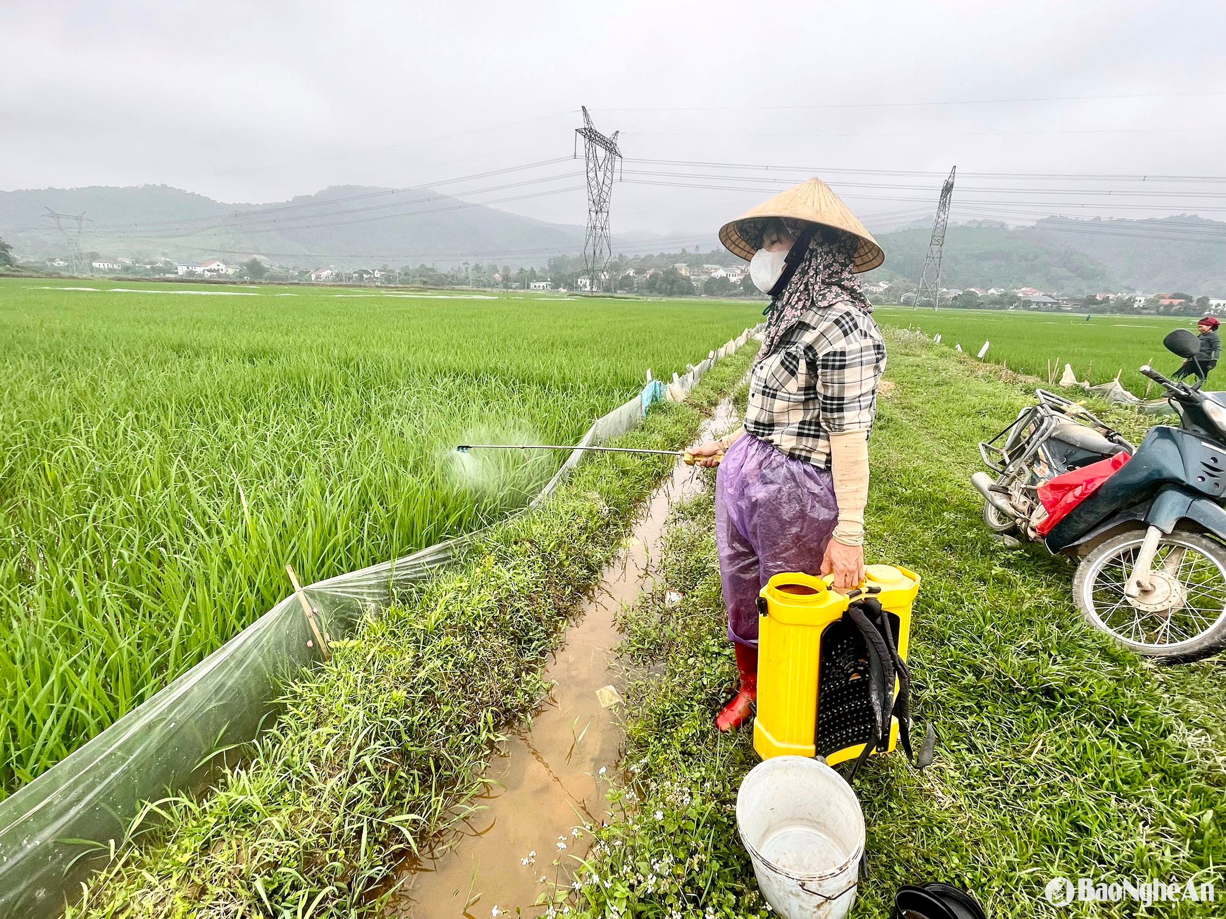 bà Mai Thị hà (xxa Thượng Tân Lộc, Nam Đàn) cho biết- Hầu hết nông dân phun xong ở đâu thì vứt rác ngay tại đó. Ảnh- Phú Hương