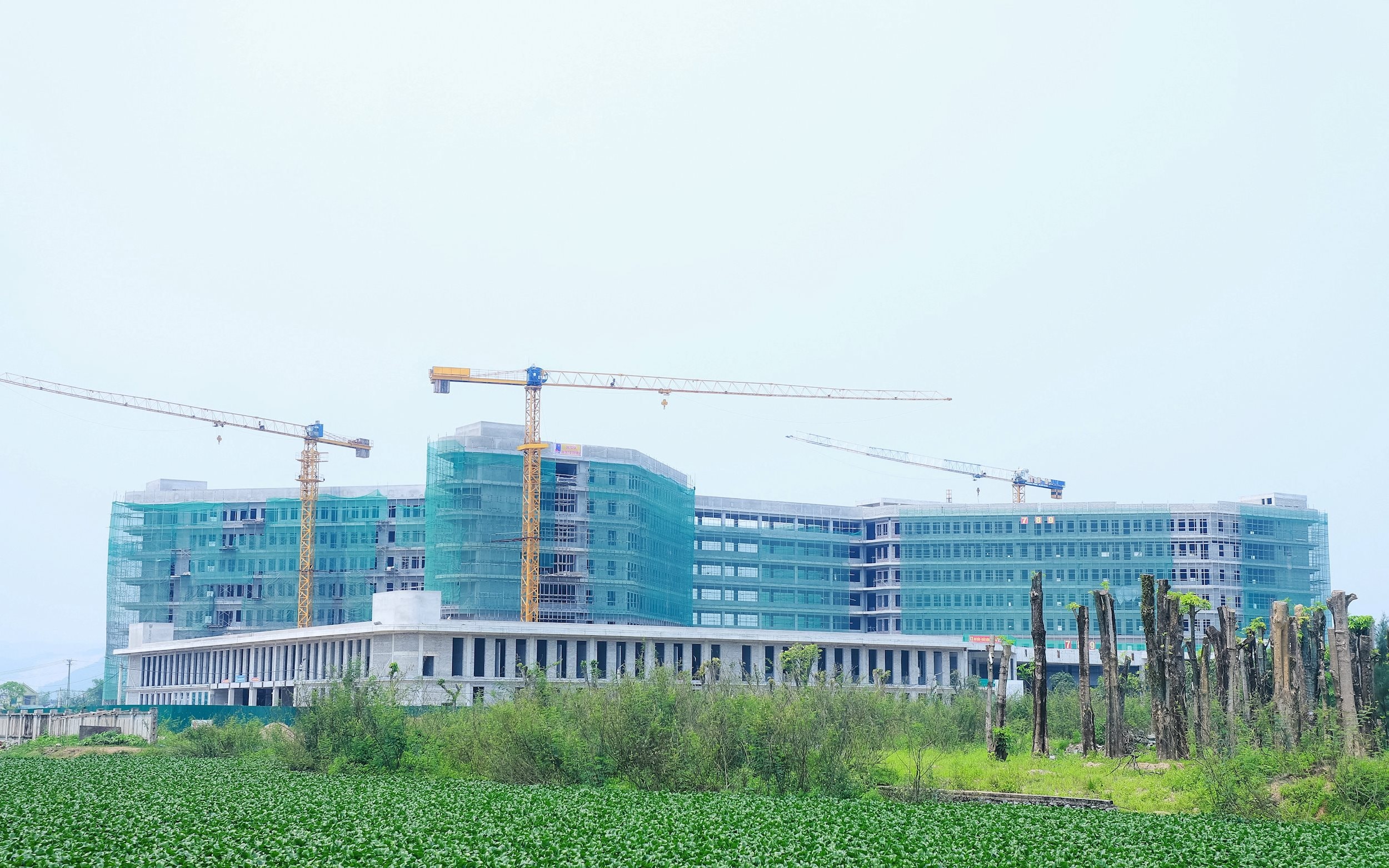 bna_benh-vien-ung-buou-nghe-an-39b8f43a0161c6f6c3749674557a33c8.jpg