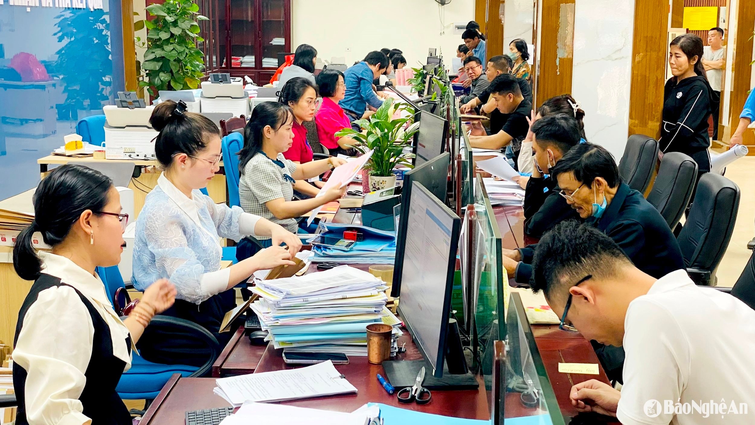 thủ tục hành chính vinh