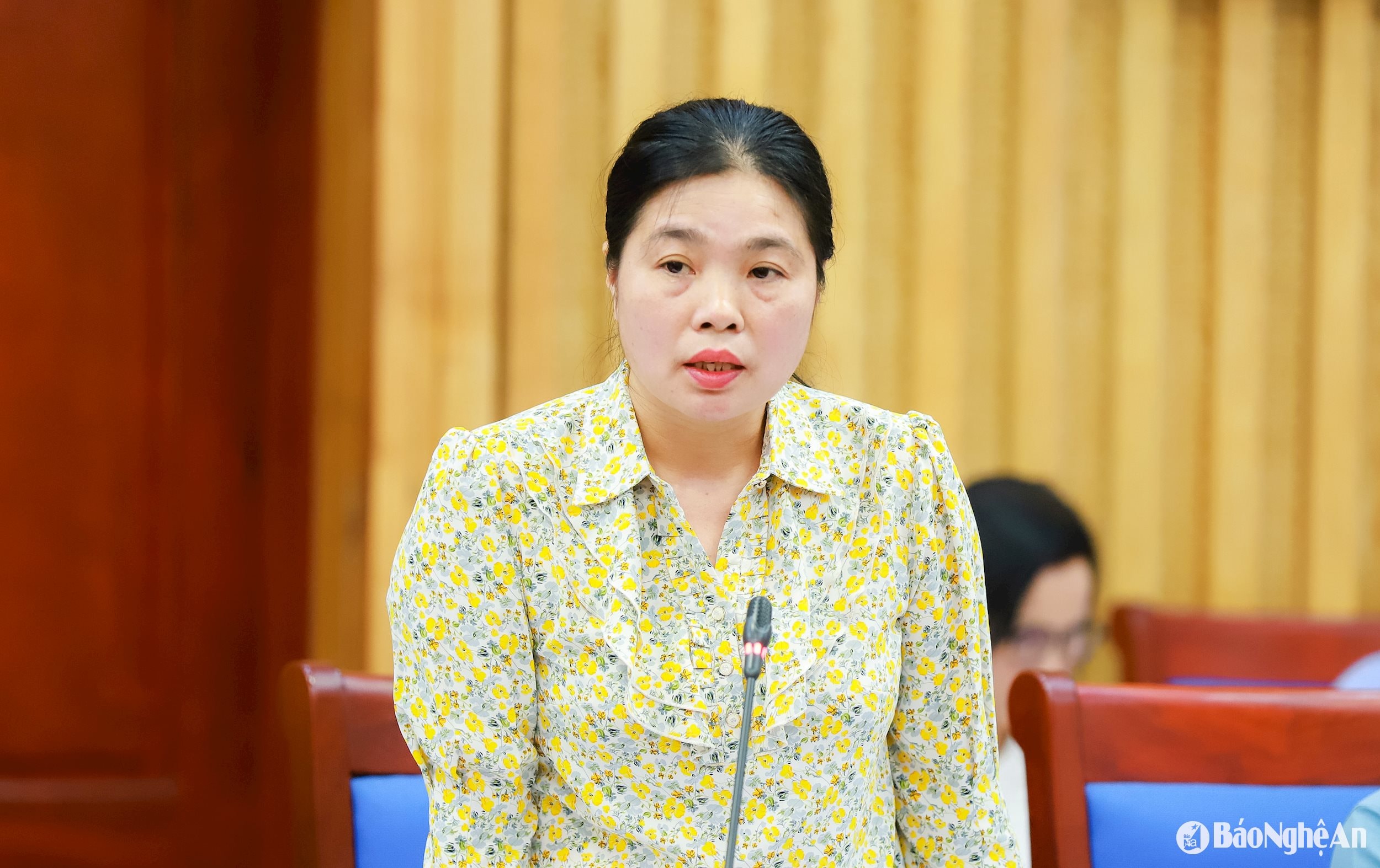 bna_ho-thi-chau-loan-nghe-an.jpg