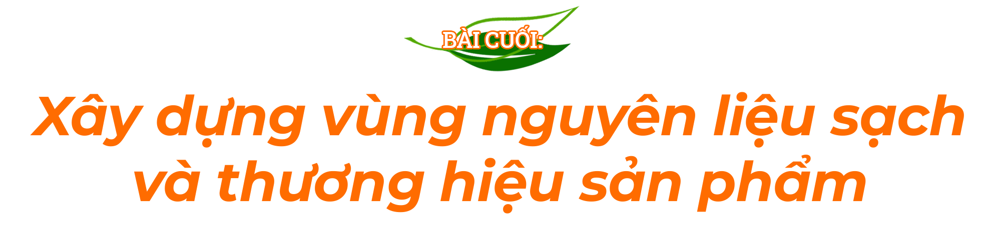 xaydungthuonghieuche-cover-k4-tit.png