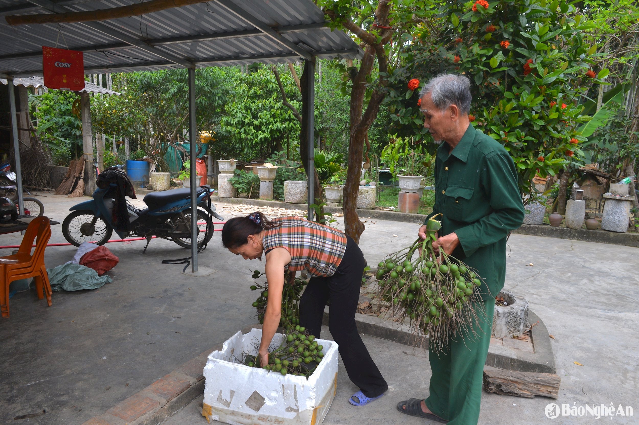 Ông Nguyễn Văn Lê ở xã Kim Thành, Yên Thành
