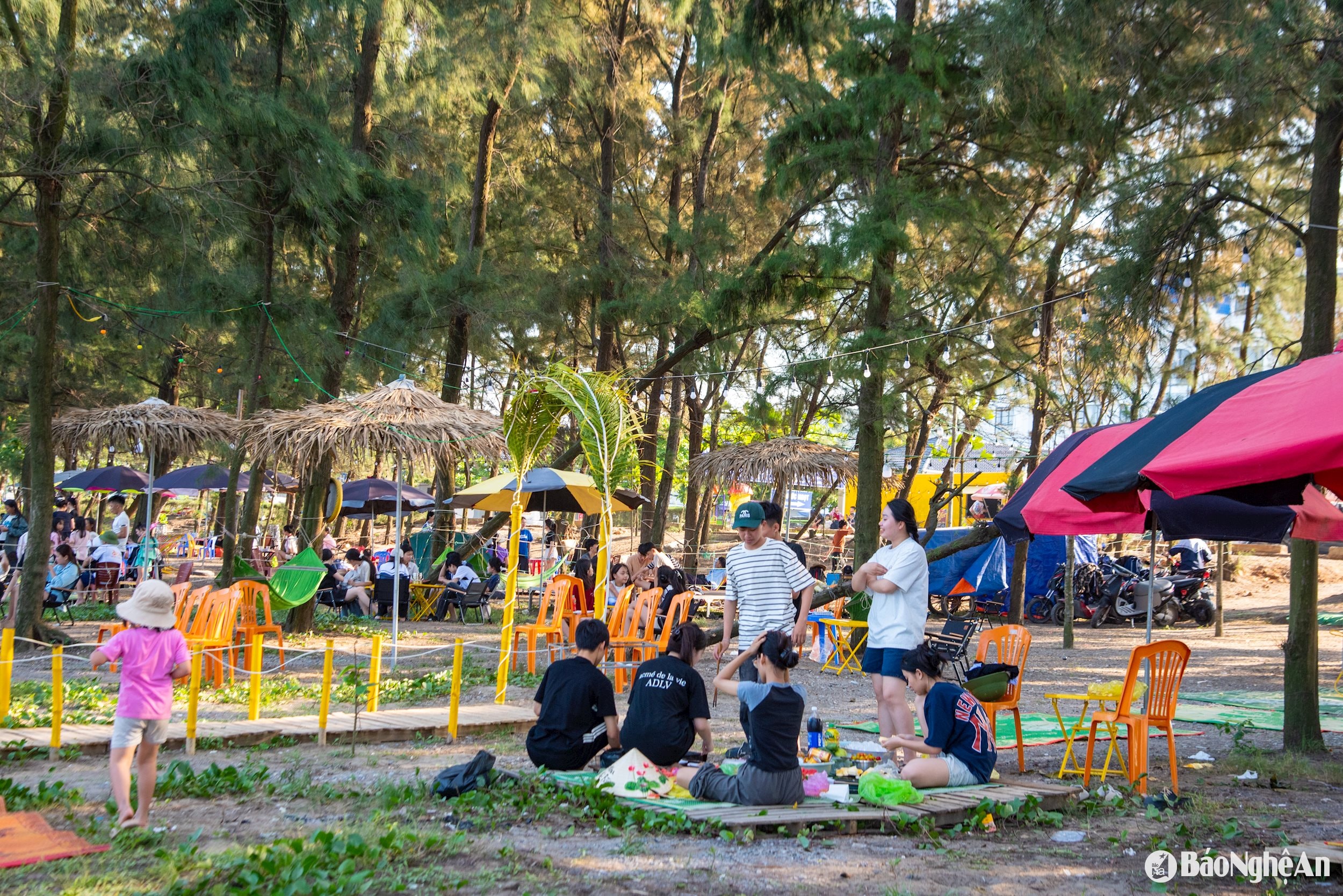 biển Quỳnh_4