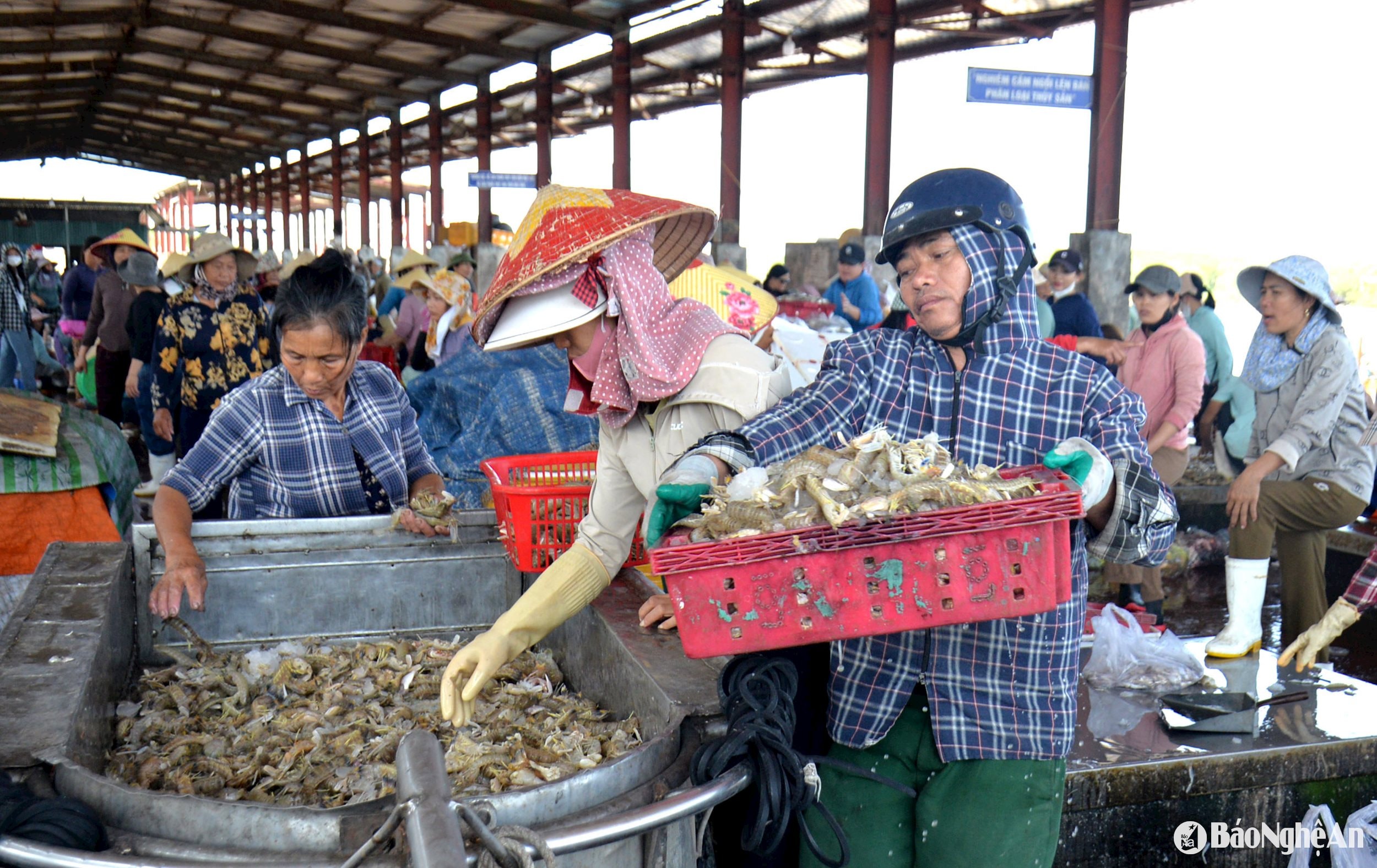 thương lái