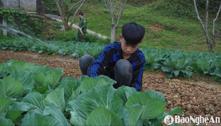 vi-duong-cam(1).jpg
