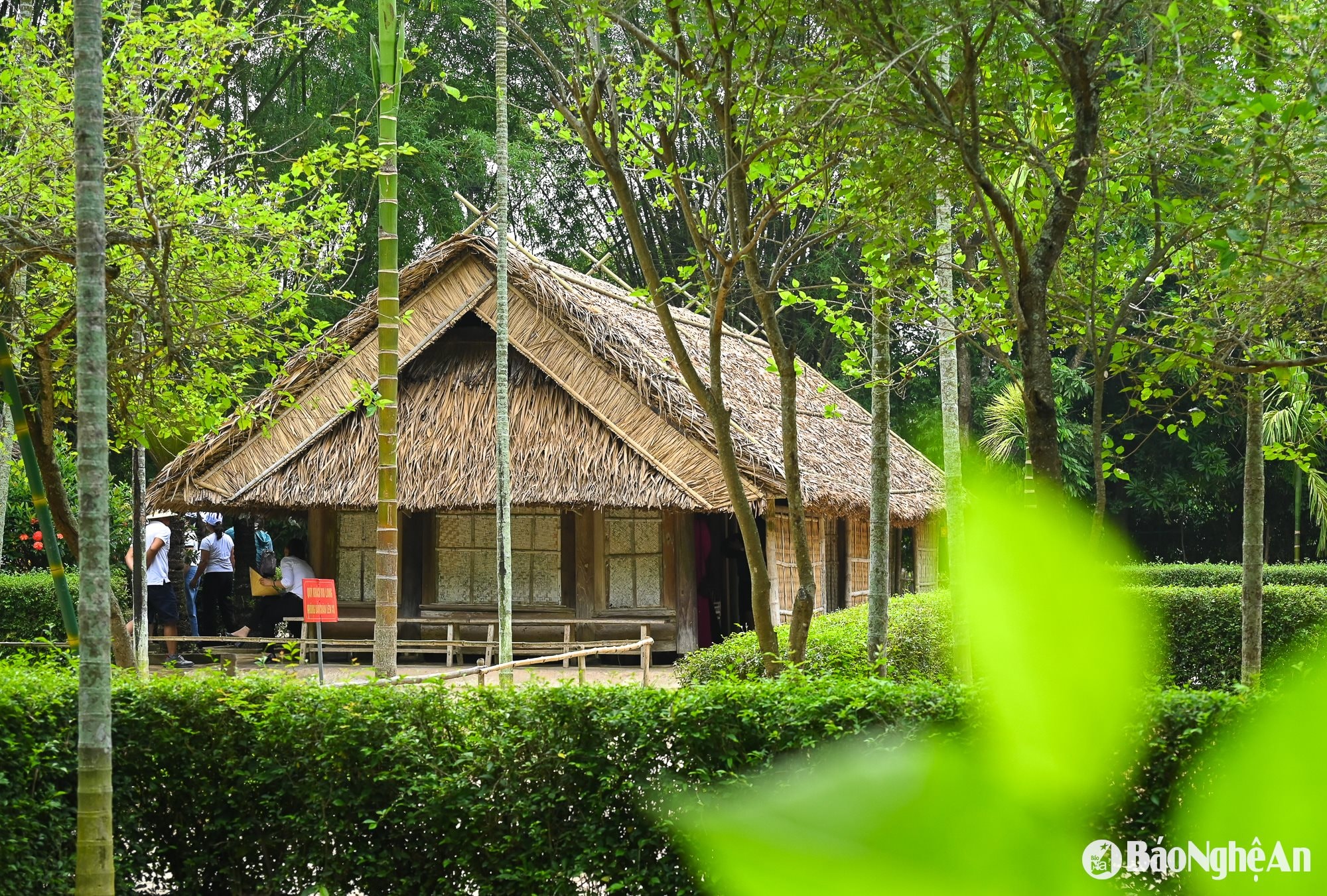 Ngôi nhà tranh năm gian - tổ ấm của ông bà ngoại Chủ tịch Hồ Chí Minh là nơi đã sinh ra bà Hoàng Thị Loan (thân mẫu Chủ tịch Hồ Chí Minh); nơi nuôi dưỡng, ươm trồng tài năng của ông Nguyễn Sinh Sắc (thân sinh Chủ tịch Hồ Chí Minh), và cũng là nơi xây dựng hạnh phúc cho bố mẹ Người. Ảnh: Thành Cường