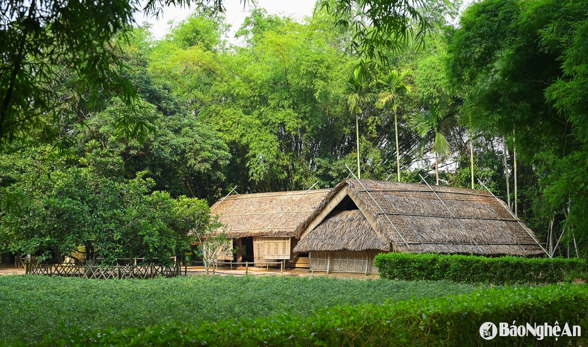 Dẫu đã qua cả thế kỷ, nhưng những hình ảnh xưa cũ của làng Sen gắn liền với tuổi thơ Bác vẫn được lưu giữ đến bây giờ như một miền ký ức đẹp và là tấm gương sáng cho mọi những thế hệ. Đó là giếng Cốc, cây đa, đền làng Sen, nhà thờ họ Nguyễn Sinh… và đặc biệt là ngôi nhà tranh của cụ Phó bảng Nguyễn Sinh Sắc- thân phụ Bác, nơi gắn bó với tuổi thơ của Bác Hồ, cũng là khởi nguồn cho một tinh thần yêu nước và ý chí lớn lao của người anh hùng dân tộc sau này. Ảnh: Thành Cường