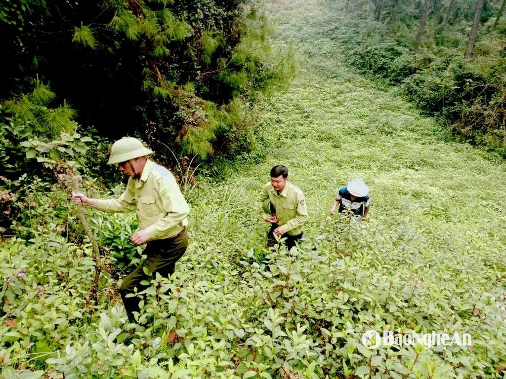 bna_van-truong-m346-0499394ff54dd10131b04f2571f08b5c(1).jpeg