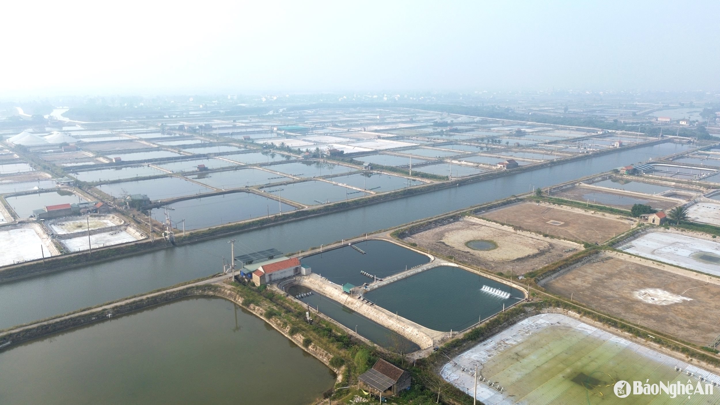 vung tôm 1