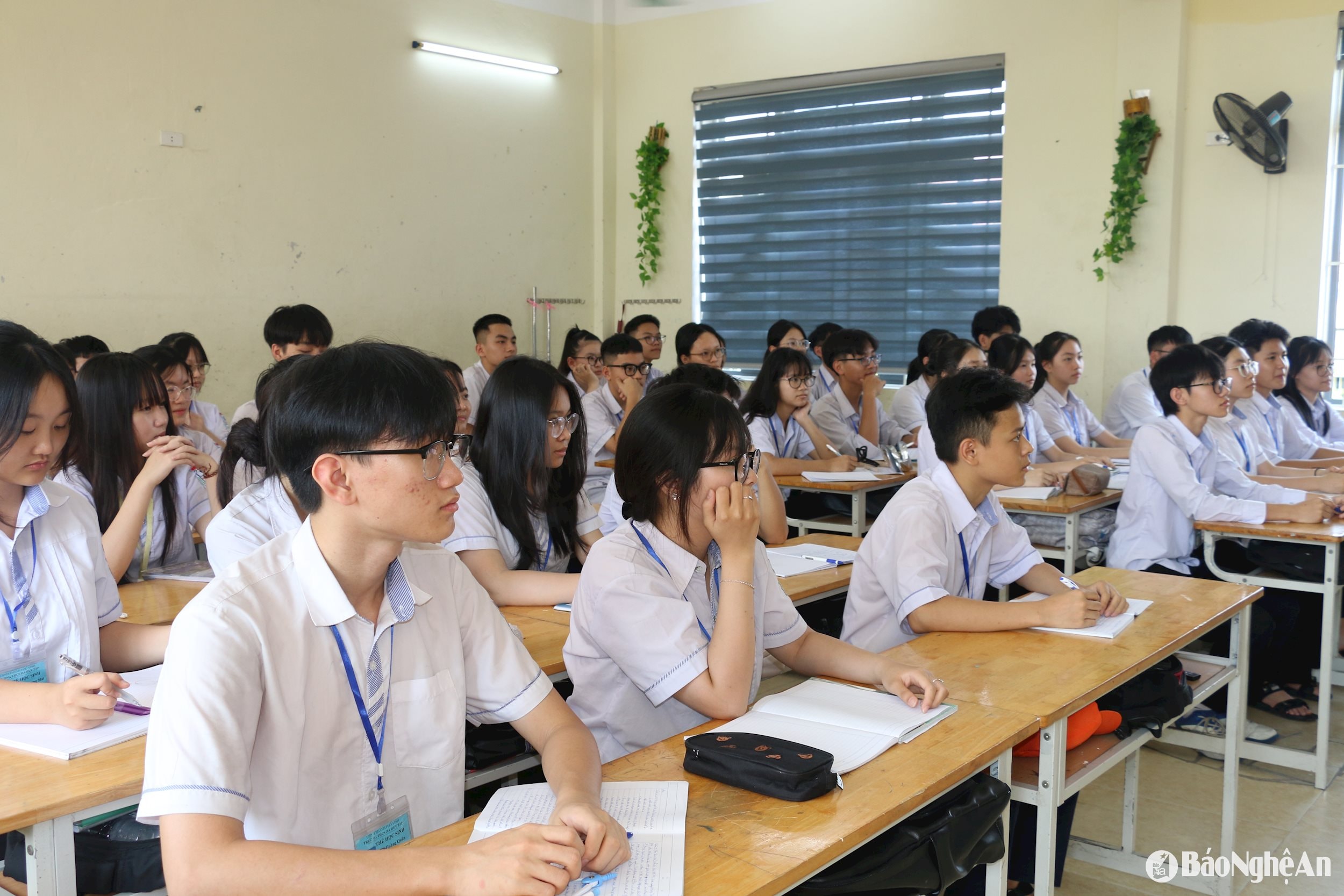 Ảnh - Mỹ Hà (7)