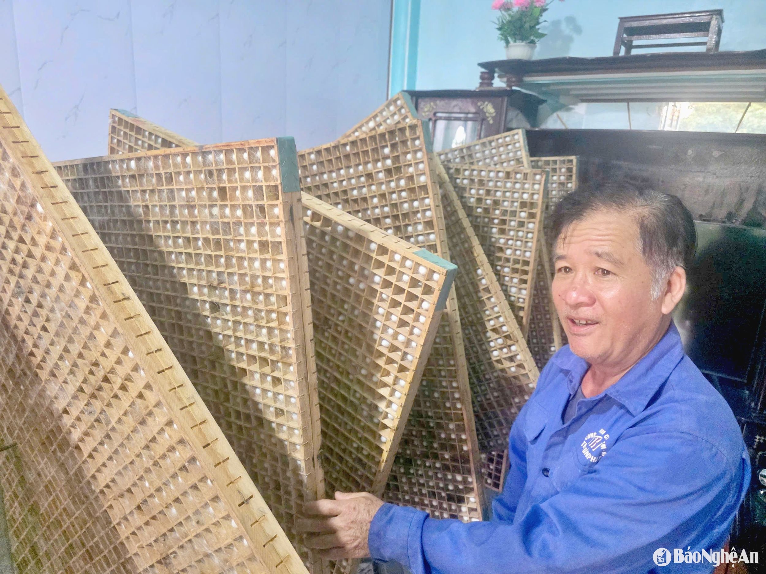 គំរូដង្កូវនាង
