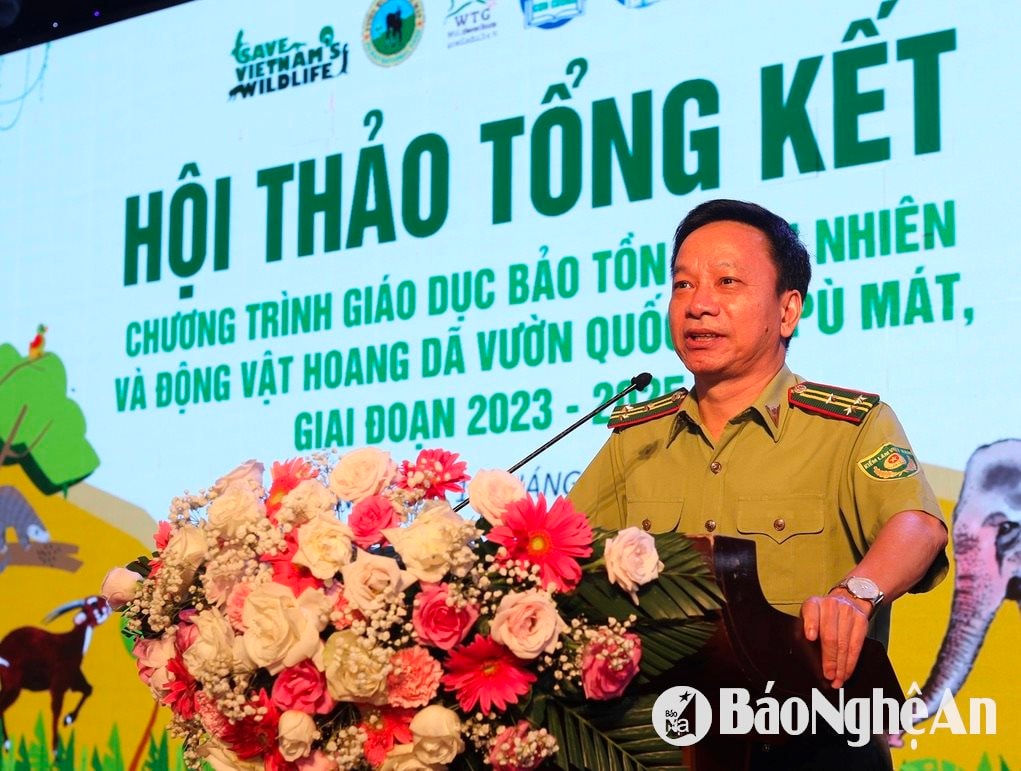 van truong m4566