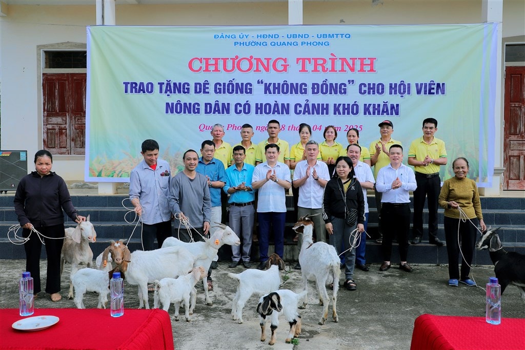 ផ្តល់ពូជពពែដល់កសិករក្នុងស្ថានភាពលំបាកនៅសង្កាត់ Quang Phong ក្រុង Thai Hoa។