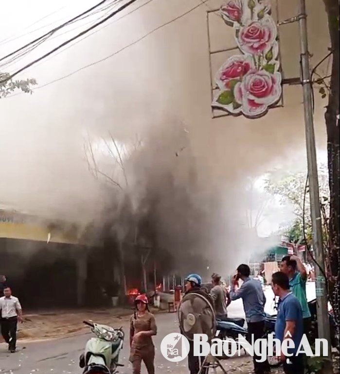 12.ảnh pv