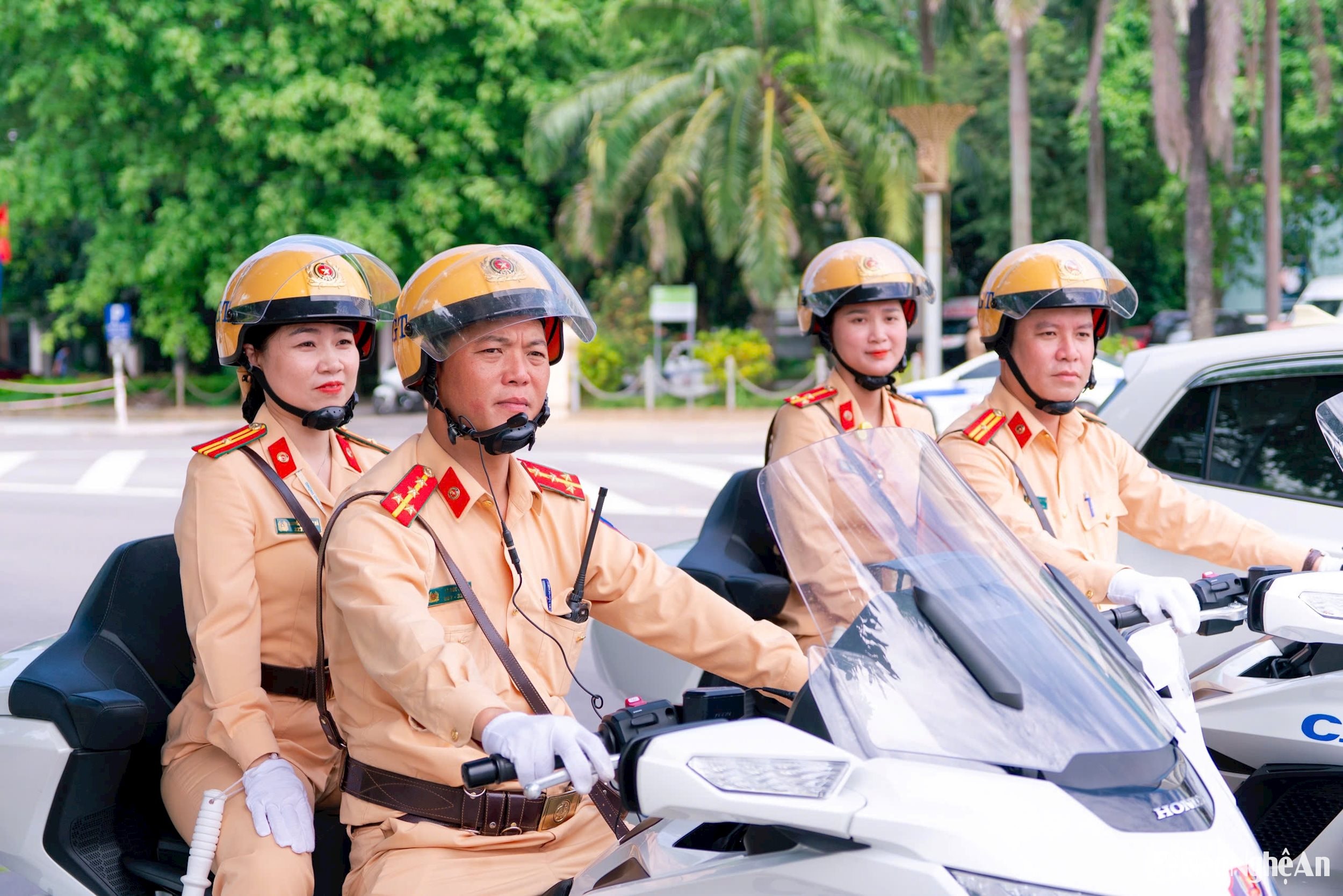 0.ảnh pv