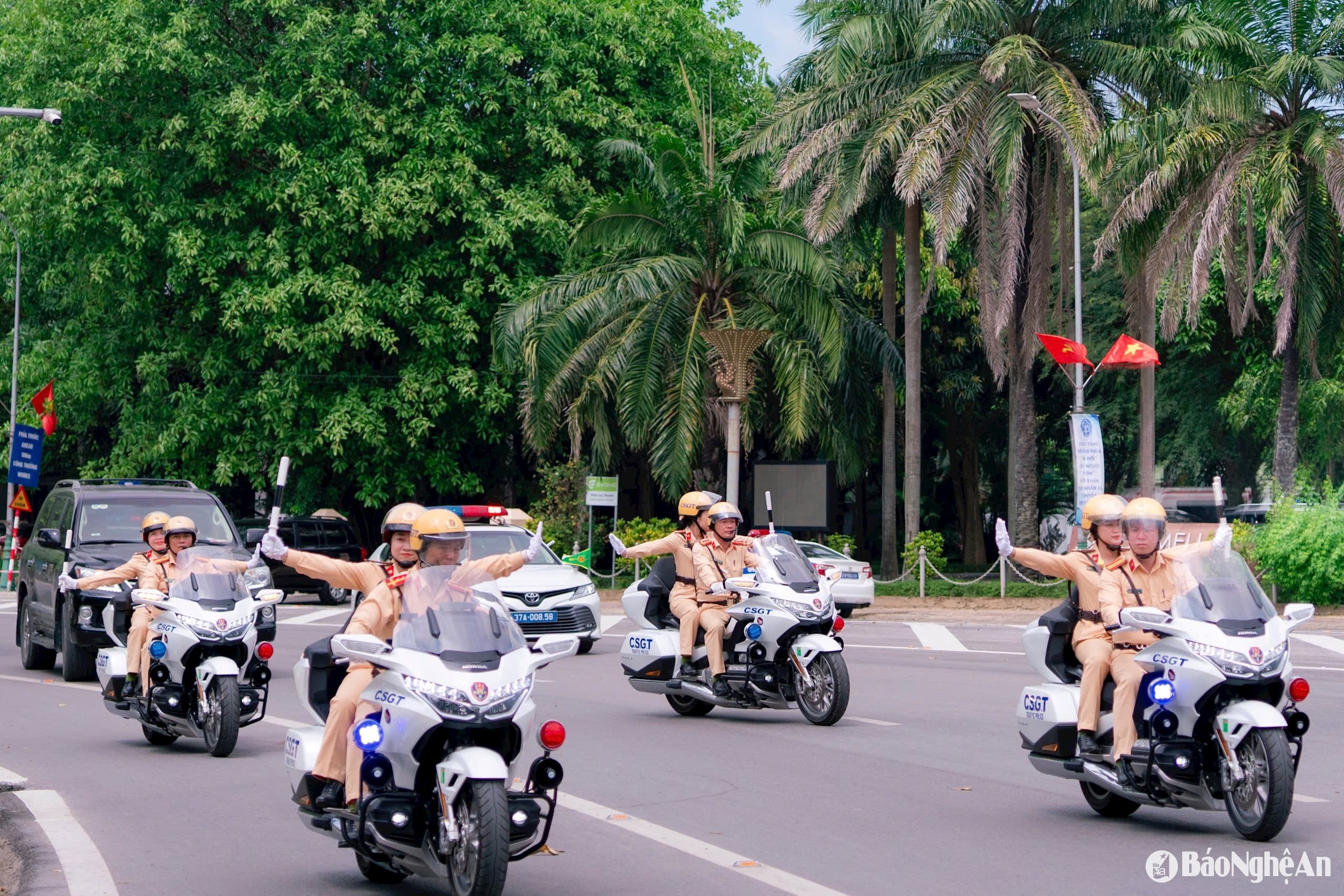 4.ảnh pv