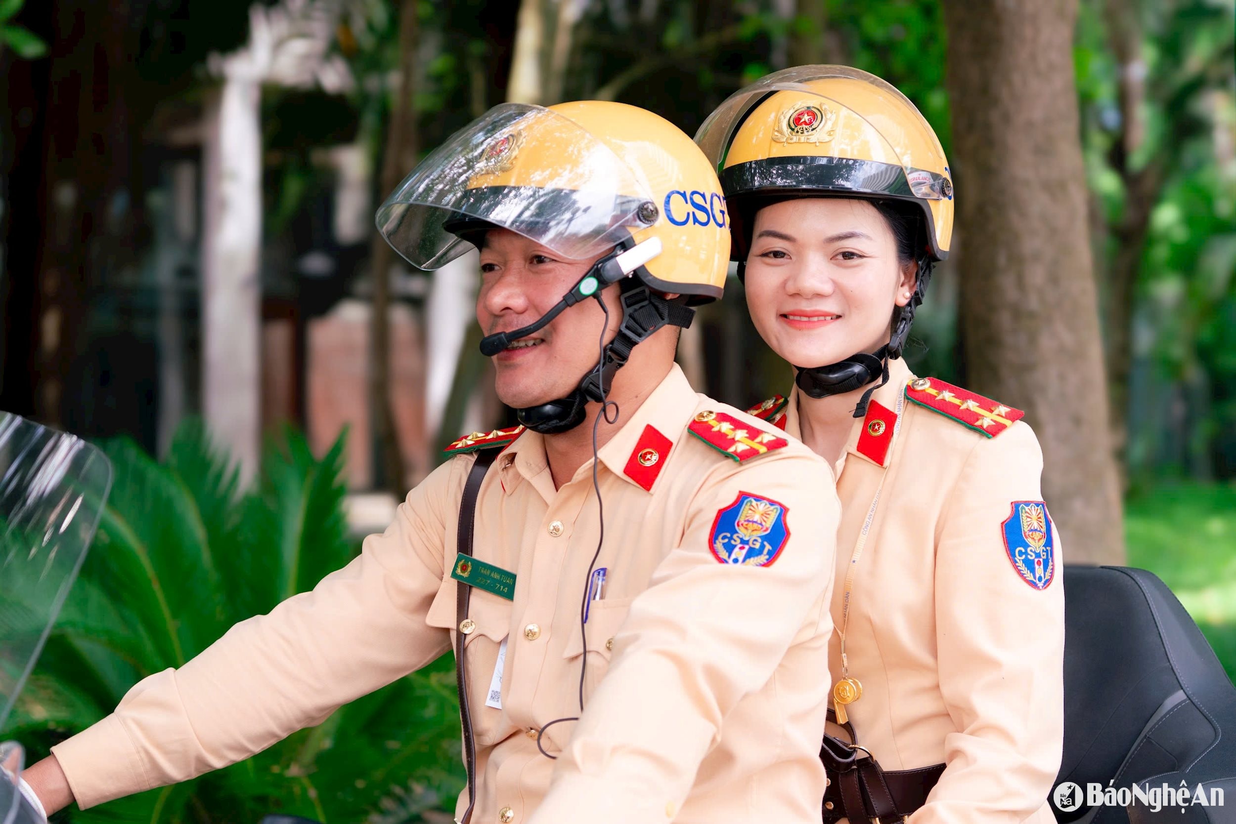 6. ảnh pv