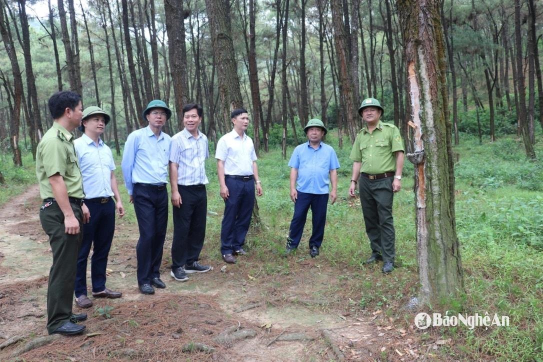 bna_van-truong-m-45(1).jpeg