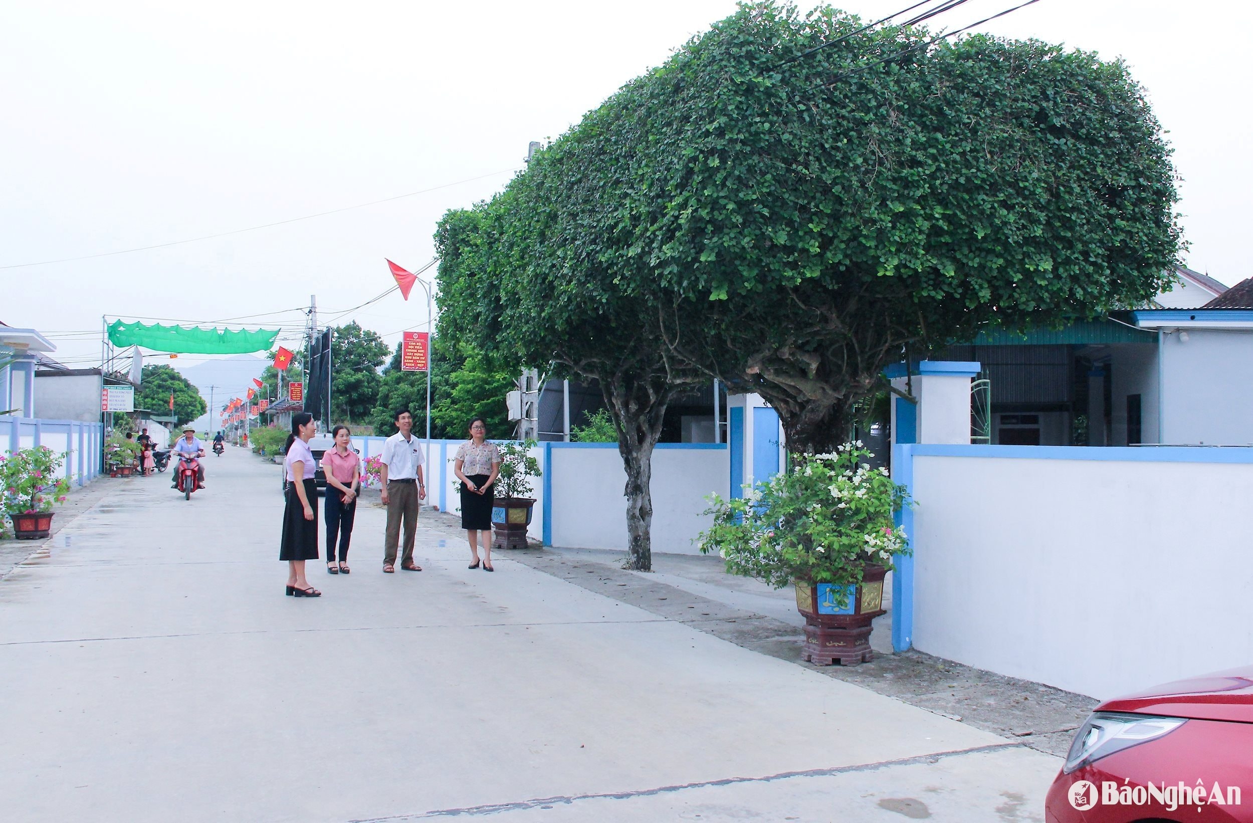 Cảnh quan môi trường nông thôn tại xã Nam Lĩnh (huyện Nam Đàn). Ảnh Mai Hoa
