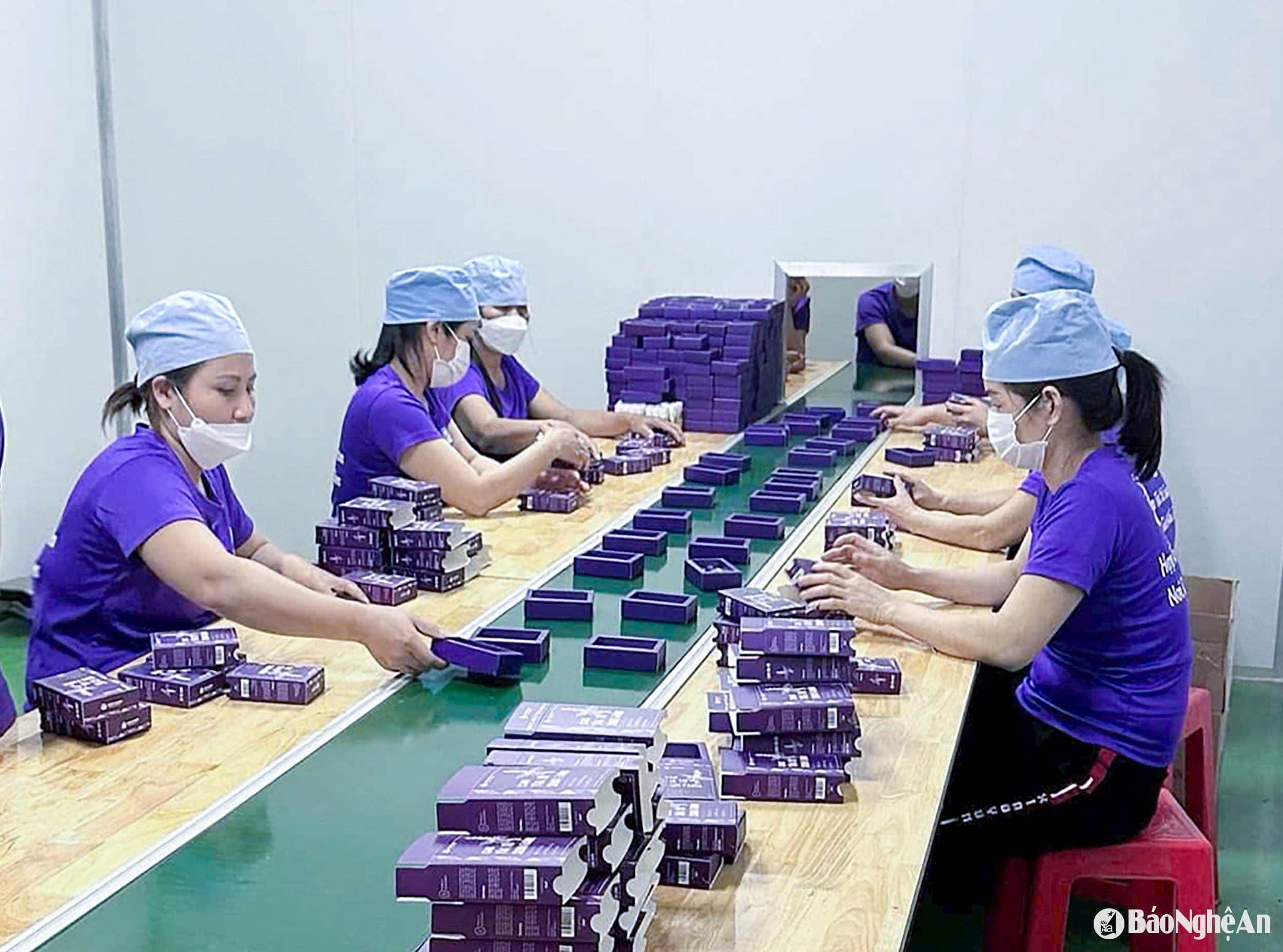 Đóng gói sản phẩm đạt chuẩn OCOP thương hiệu Chanh Thiên Nhẫn. 