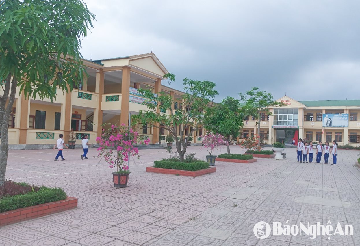  Trường học tiểu học Nam Lĩnh được đầu tư khang trang. Ảnh Mai Hoa