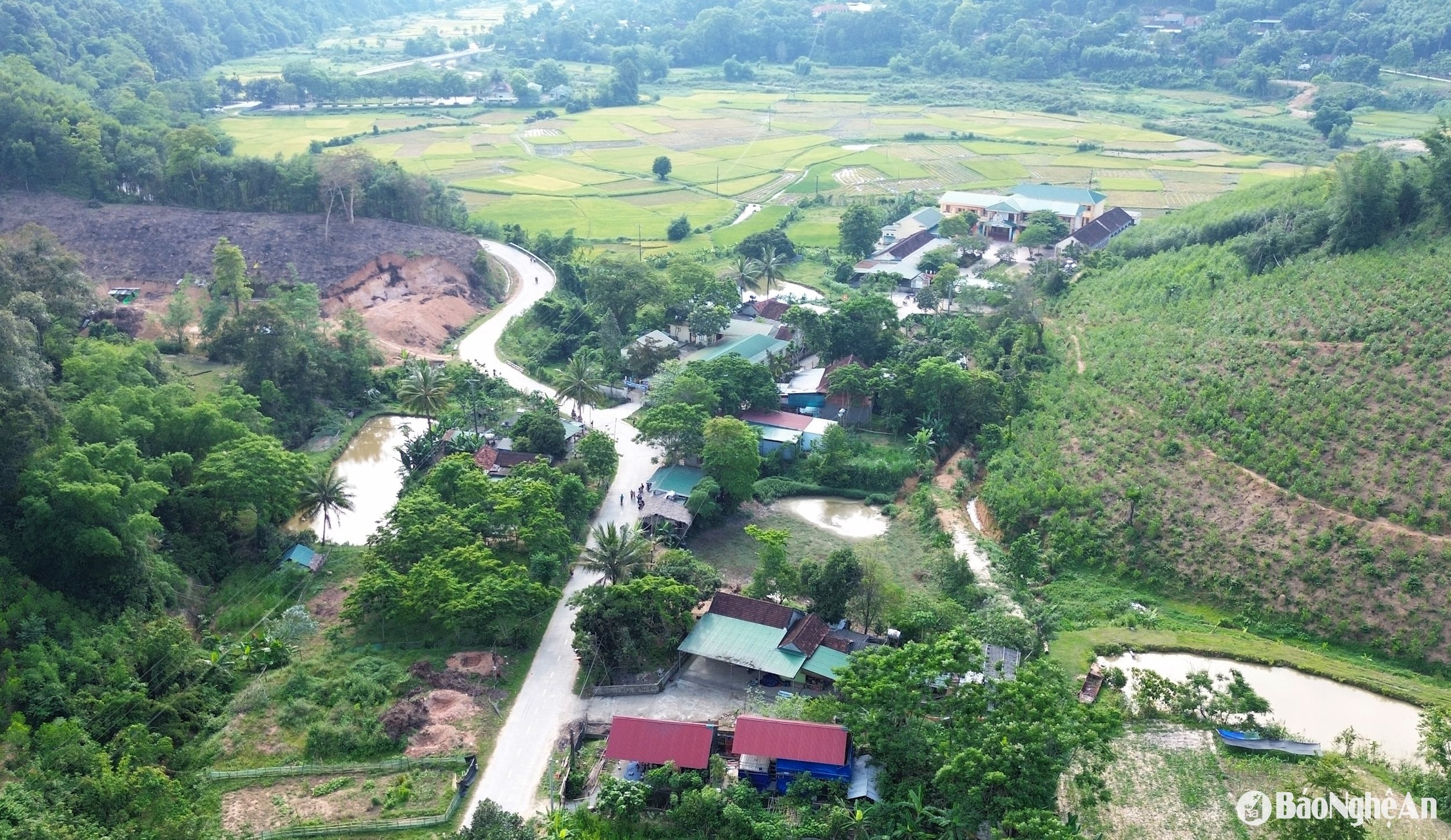 bản phục