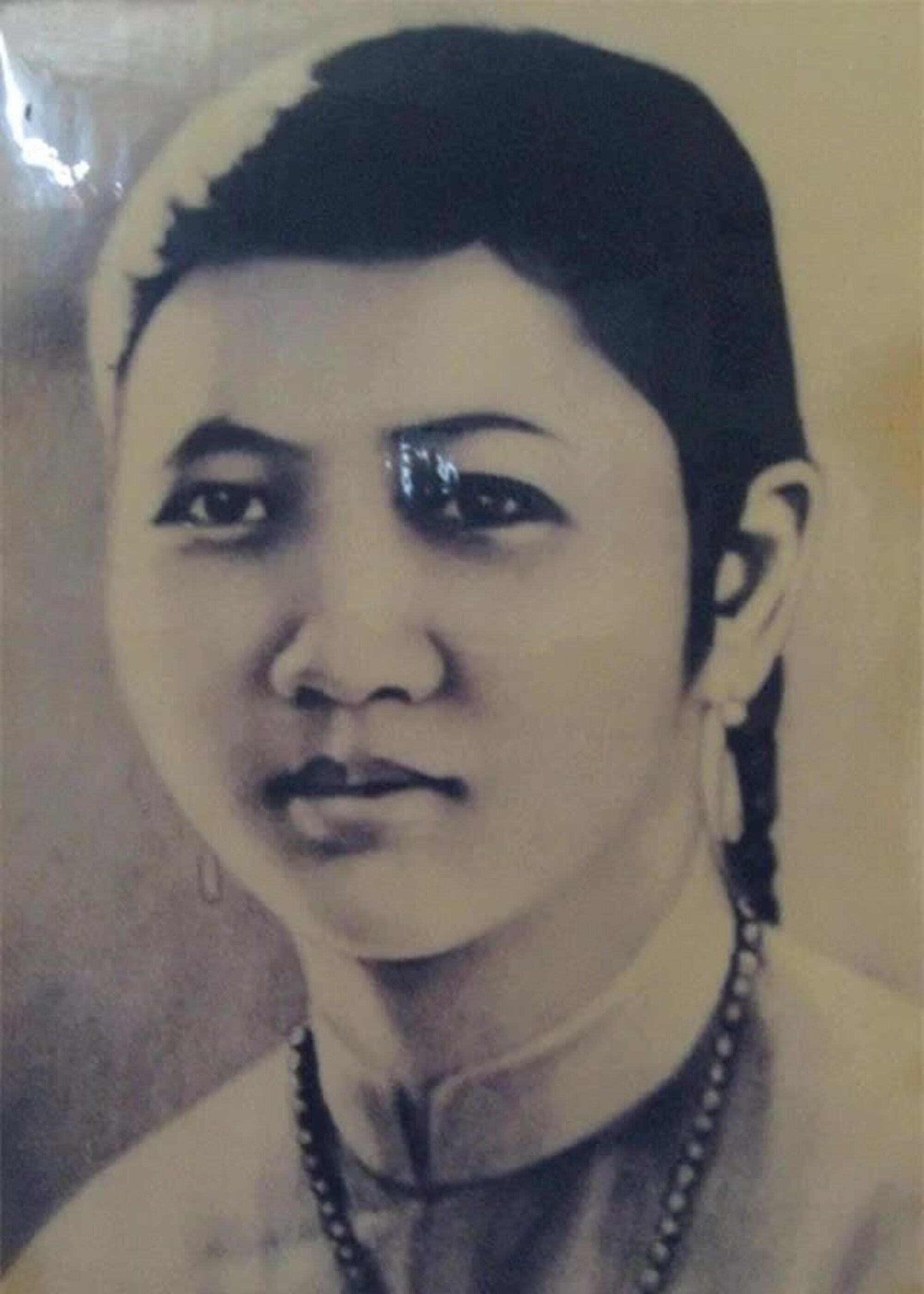 Bà Lâm Thị Phấn tên khai sinh là Lâm Thị Elise (1918-2010), quê ở quận Châu Thành, tỉnh Cần Thơ (nay là quận Ninh Kiều, TP Cần Thơ). Bà là con của đại điền chủ nổi tiếng, đồng thời là hiệu trường Taberd Cần Thơ (trường Châu Văn Liêm - TP Cần Thơ hiện nay).
