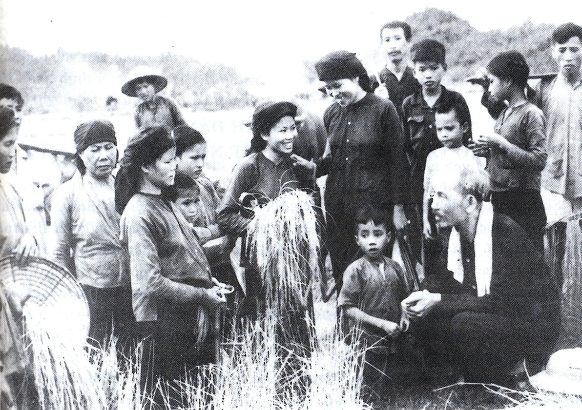 Bác Hồ thăm nông dân đang gặt lúa trên cánh đồng xã Hùng Sơn, (huyện Đại Từ, Thái Nguyên) vào năm 1954.