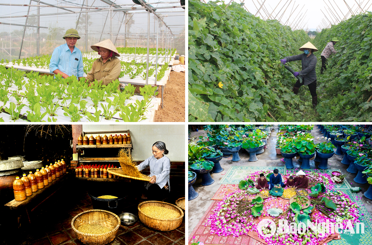 Các mô hình kinh tế ở huyện Nam Đàn. Ảnh tư liệu BNA