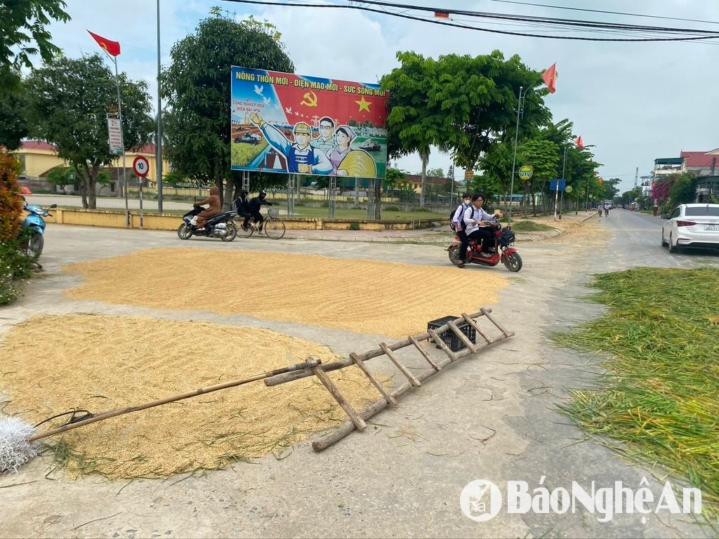 សាលា ១