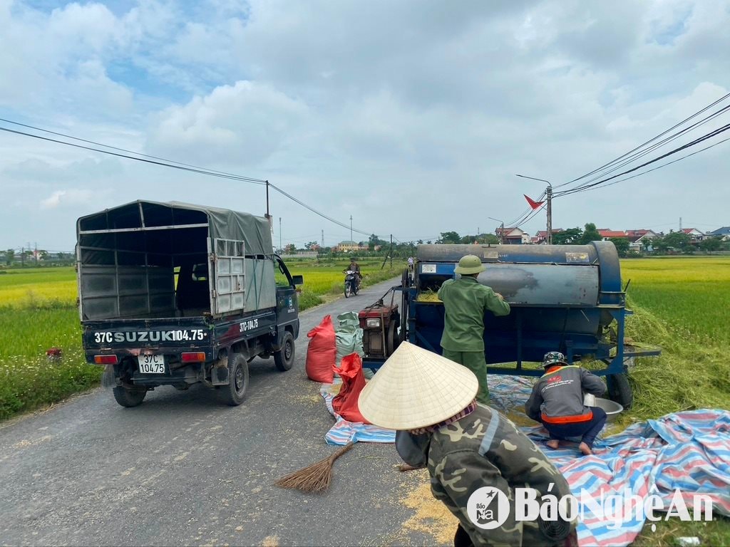 សាលា ២