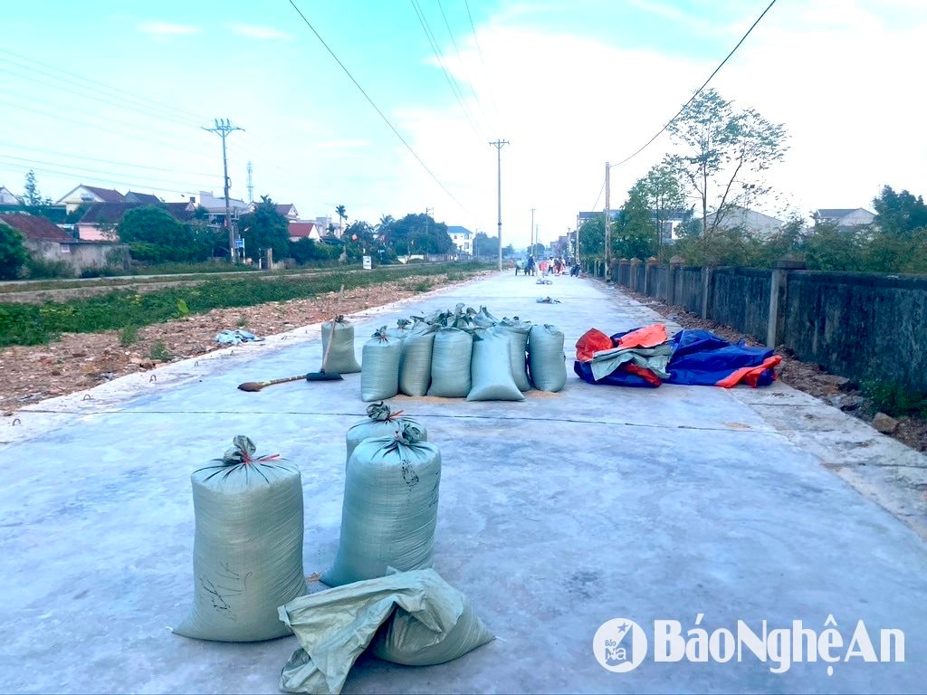 កសិករនៅស្រុក Yen Thanh ប្រមូលស្រូវនៅកណ្តាលផ្លូវស្ងួត ធ្វើឲ្យមានការលំបាកជាខ្លាំងសម្រាប់យានជំនិះក្នុងការធ្វើដំណើរ។ រូបថត៖ Van Truong