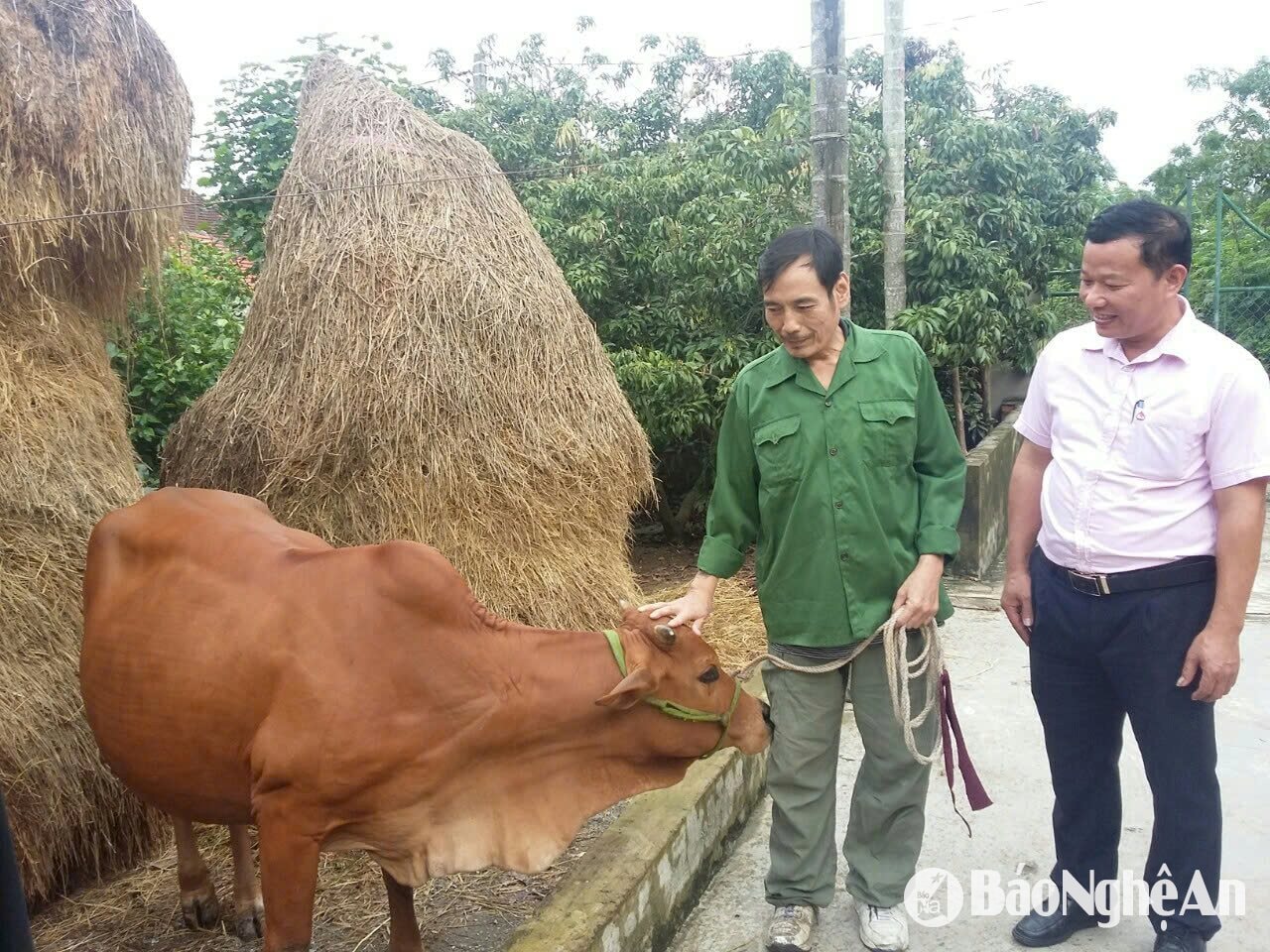 nam đàn 2