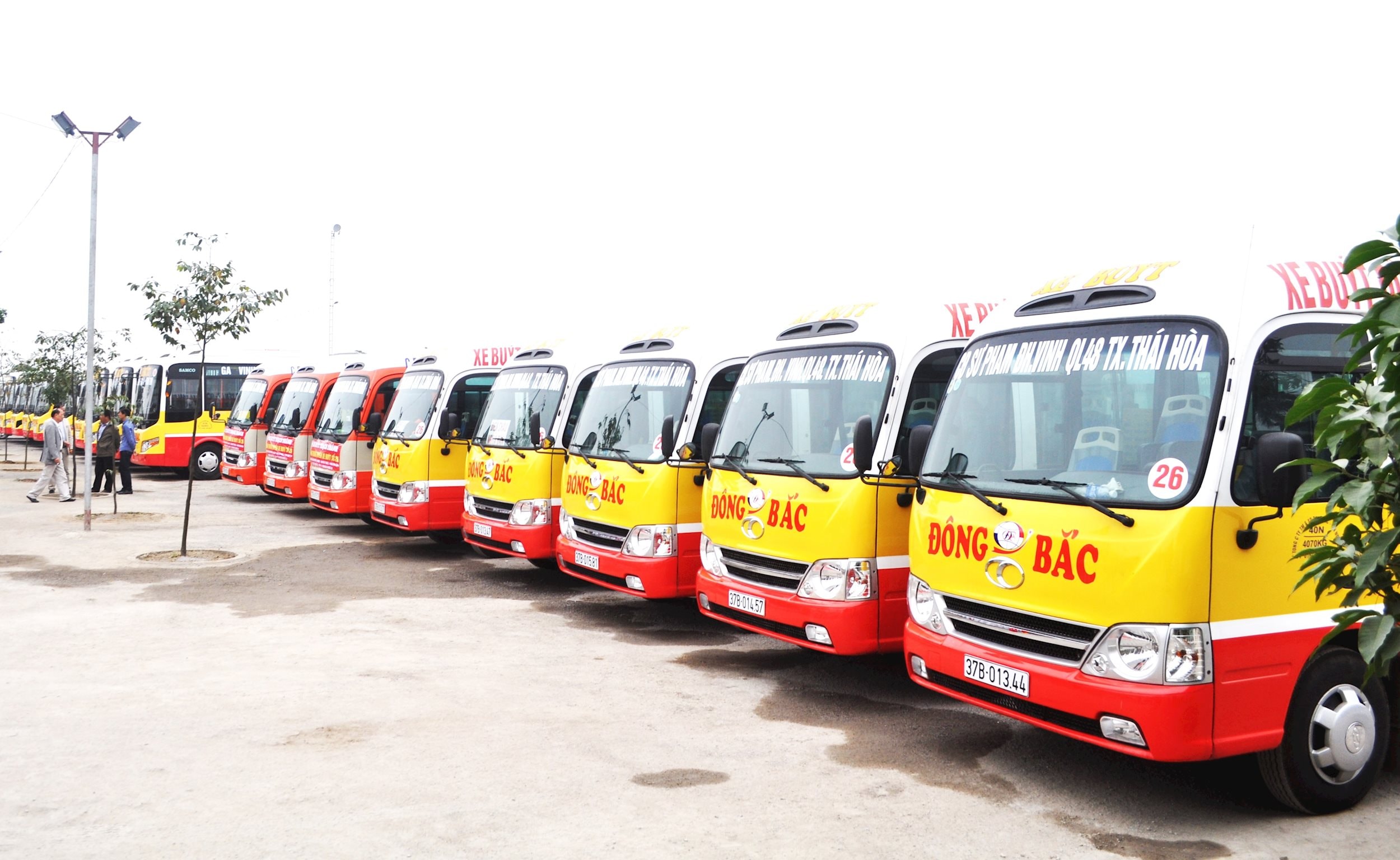 Buýt Đông Bắc hiện có số lượng phương tiện lớn ở Nghệ An. Ảnh Hoàng Vĩnh
