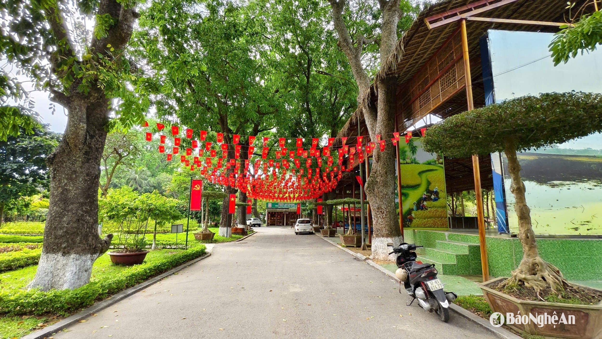 cham-soc-khu-di-tich-kim-lien-anh-diep-thanh00003.jpg