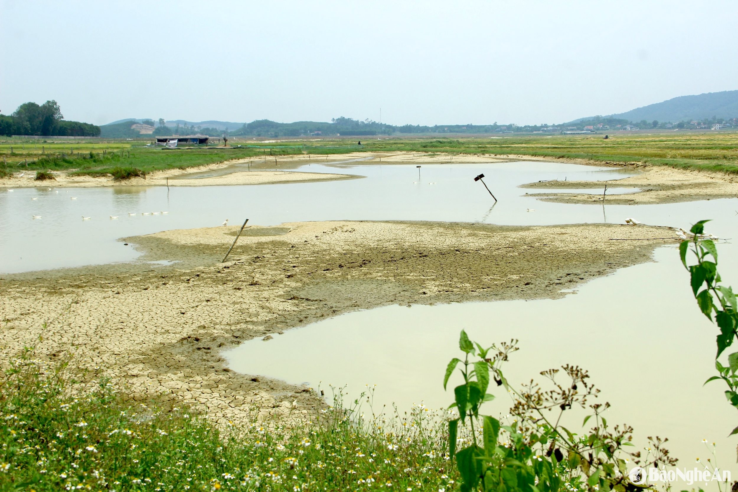 Đập Nậu